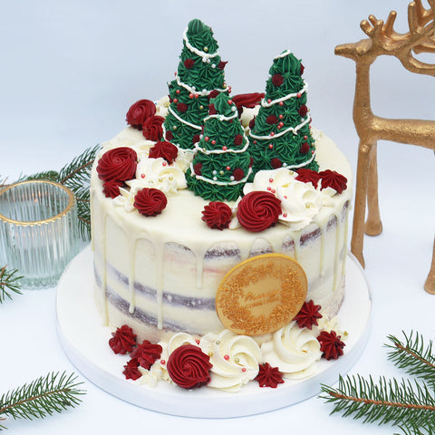 'Have a Tree-mendous Christmas' Cake