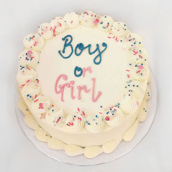 Gender Reveal Celebration Cake