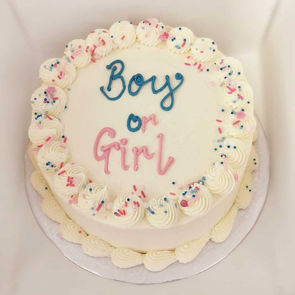 Gender Reveal Celebration Cake